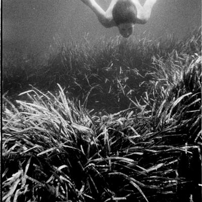 Wolfangods Nikonos 00