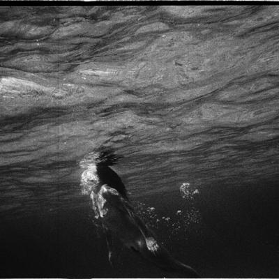 Wolfangods Nikonos 011